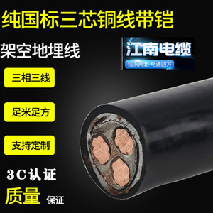 江南电缆YJV电缆线三芯10平16平25平50平方国标铜芯带凯充电桩电缆线 铜芯带凯3*1.5平10米