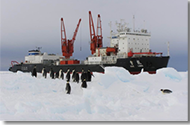 南极科考项目