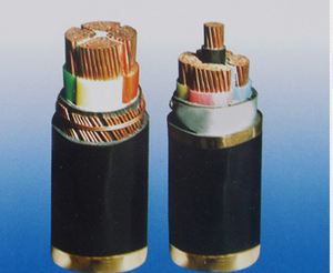额定电压0.6/1kV及以下聚氯乙烯绝缘（阻燃、耐火）电力电缆